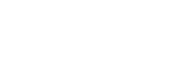 Joe's Used Auto Parts